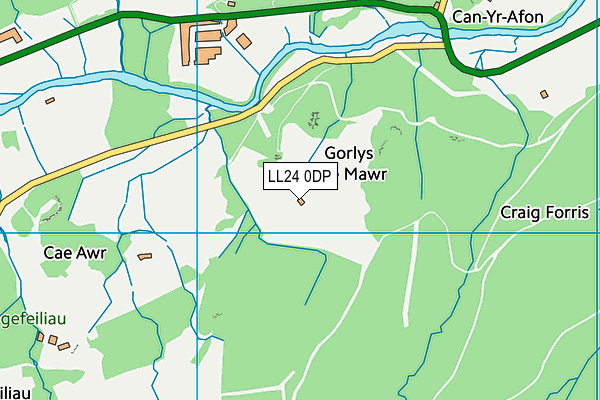 LL24 0DP map - OS VectorMap District (Ordnance Survey) LL24 0DP map - OS VectorMap District (Ordnance Survey)