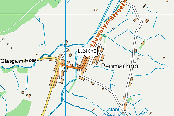 LL24 0YE map - OS VectorMap District (Ordnance Survey) LL24 0YE map - OS VectorMap District (Ordnance Survey)