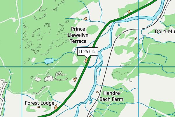 LL25 0DJ map - OS VectorMap District (Ordnance Survey) LL25 0DJ map - OS VectorMap District (Ordnance Survey)