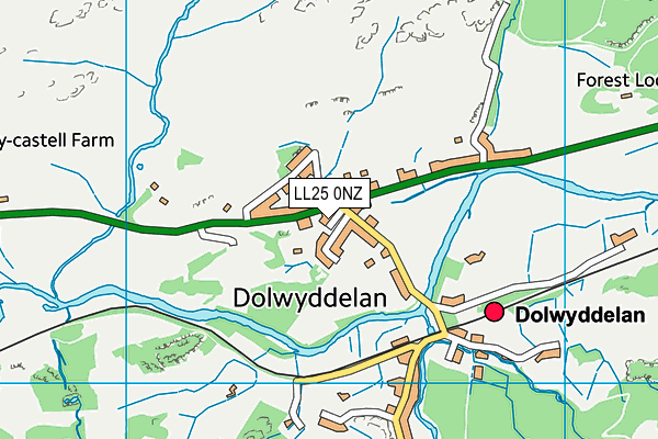 LL25 0NZ map - OS VectorMap District (Ordnance Survey) LL25 0NZ map - OS VectorMap District (Ordnance Survey)