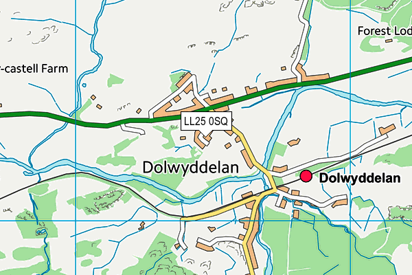 LL25 0SQ map - OS VectorMap District (Ordnance Survey) LL25 0SQ map - OS VectorMap District (Ordnance Survey)