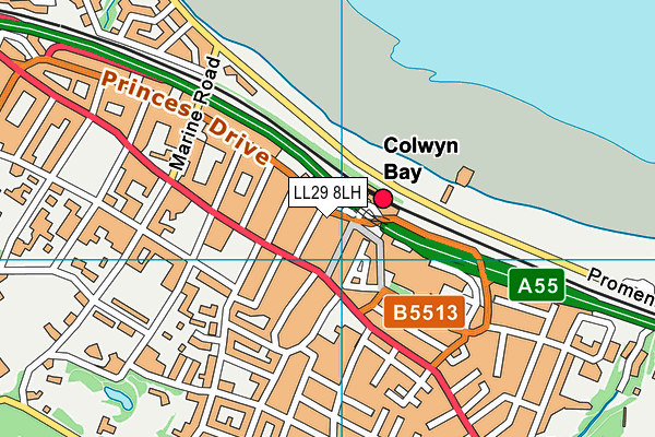 LL29 8LH map - OS VectorMap District (Ordnance Survey)