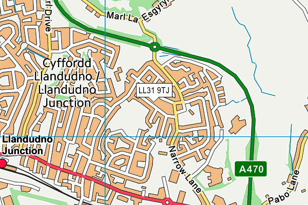 LL31 9TJ map - OS VectorMap District (Ordnance Survey)