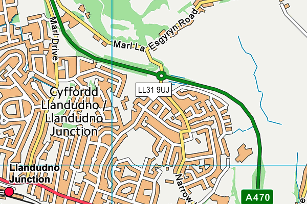 LL31 9UJ map - OS VectorMap District (Ordnance Survey) LL31 9UJ map - OS VectorMap District (Ordnance Survey)