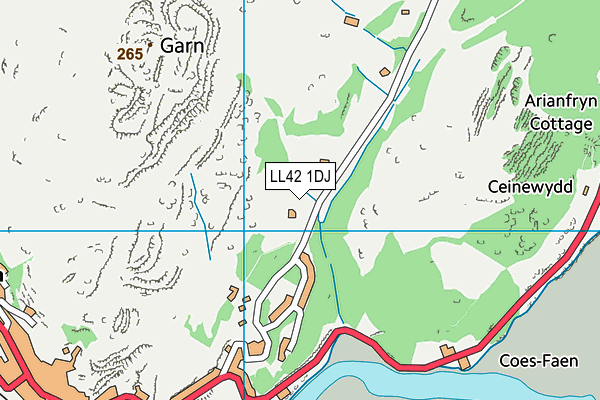 LL42 1DJ map - OS VectorMap District (Ordnance Survey) LL42 1DJ map - OS VectorMap District (Ordnance Survey)
