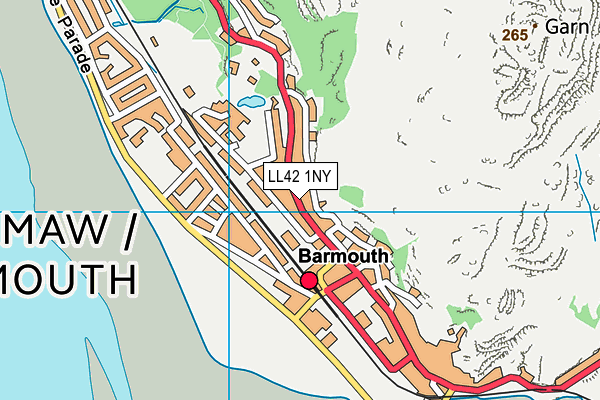 LL42 1NY map - OS VectorMap District (Ordnance Survey) LL42 1NY map - OS VectorMap District (Ordnance Survey)