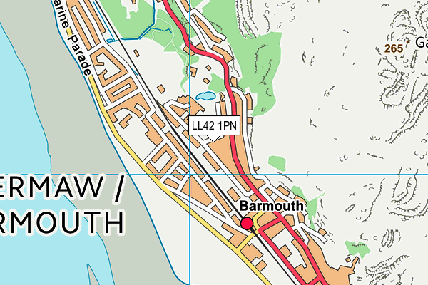 LL42 1PN map - OS VectorMap District (Ordnance Survey) LL42 1PN map - OS VectorMap District (Ordnance Survey)