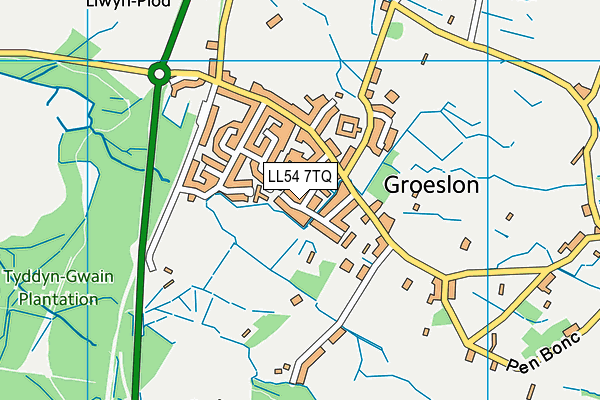 LL54 7TQ map - OS VectorMap District (Ordnance Survey) LL54 7TQ map - OS VectorMap District (Ordnance Survey)