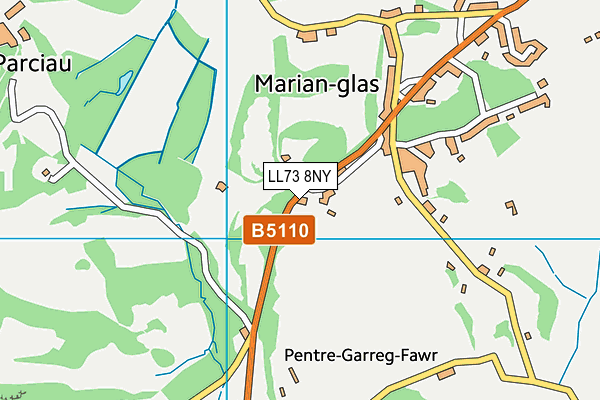 LL73 8NY map - OS VectorMap District (Ordnance Survey) LL73 8NY map - OS VectorMap District (Ordnance Survey)
