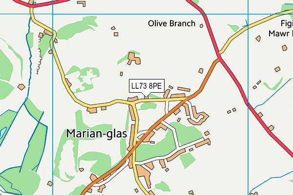 LL73 8PE map - OS VectorMap District (Ordnance Survey) LL73 8PE map - OS VectorMap District (Ordnance Survey)