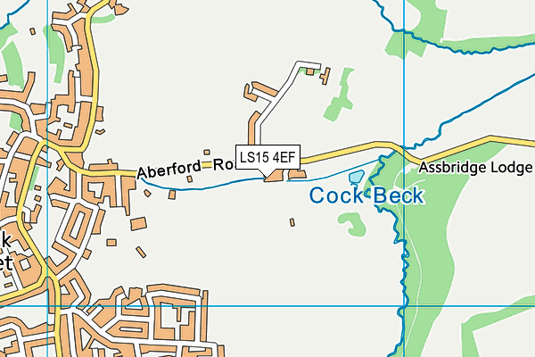LS15 4EF map - OS VectorMap District (Ordnance Survey) LS15 4EF map - OS VectorMap District (Ordnance Survey)