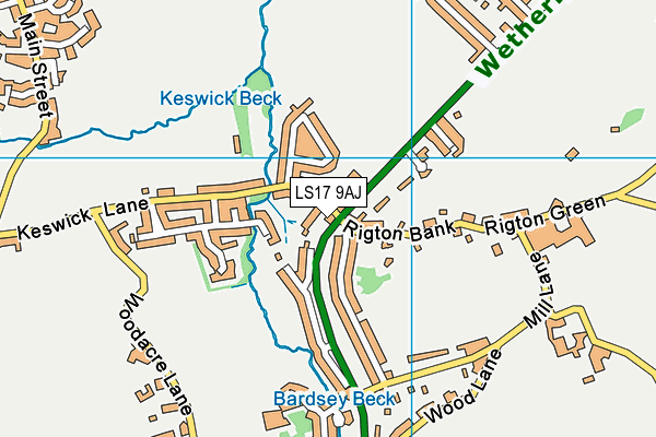 LS17 9AJ map - OS VectorMap District (Ordnance Survey) LS17 9AJ map - OS VectorMap District (Ordnance Survey)