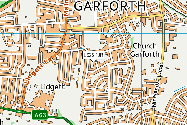 LS25 1JR map - OS VectorMap District (Ordnance Survey) LS25 1JR map - OS VectorMap District (Ordnance Survey)