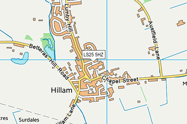LS25 5HZ map - OS VectorMap District (Ordnance Survey) LS25 5HZ map - OS VectorMap District (Ordnance Survey)