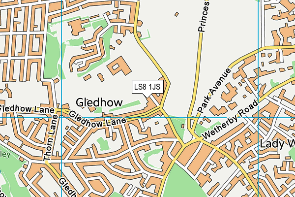 LS8 1JS map - OS VectorMap District (Ordnance Survey) LS8 1JS map - OS VectorMap District (Ordnance Survey)