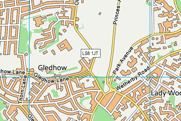 LS8 1JT map - OS VectorMap District (Ordnance Survey) LS8 1JT map - OS VectorMap District (Ordnance Survey)