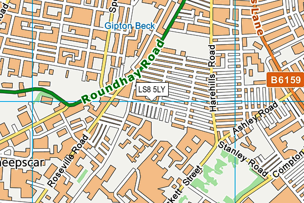 LS8 5LY map - OS VectorMap District (Ordnance Survey) LS8 5LY map - OS VectorMap District (Ordnance Survey)