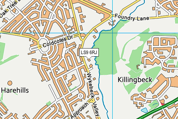 LS9 6RJ map - OS VectorMap District (Ordnance Survey)