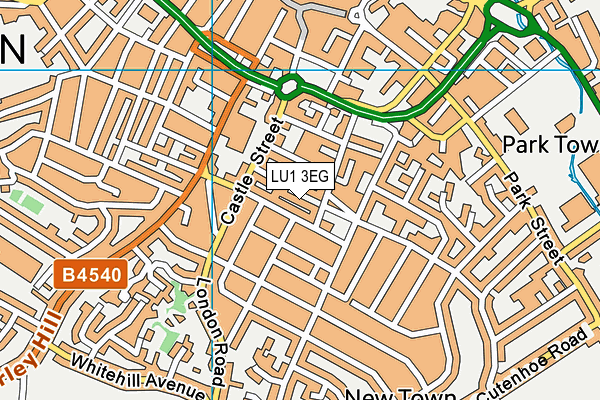 LU1 3EG map - OS VectorMap District (Ordnance Survey) LU1 3EG map - OS VectorMap District (Ordnance Survey)