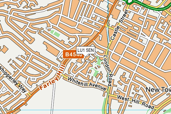 LU1 5EN map - OS VectorMap District (Ordnance Survey) LU1 5EN map - OS VectorMap District (Ordnance Survey)