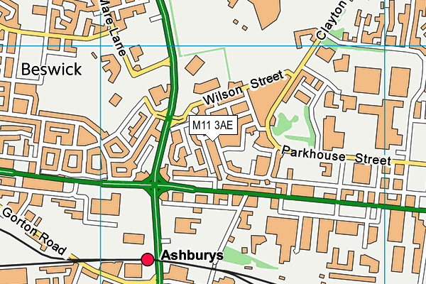 M11 3AE map - OS VectorMap District (Ordnance Survey) M11 3AE map - OS VectorMap District (Ordnance Survey)