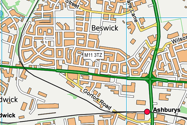 M11 3TZ map - OS VectorMap District (Ordnance Survey) M11 3TZ map - OS VectorMap District (Ordnance Survey)