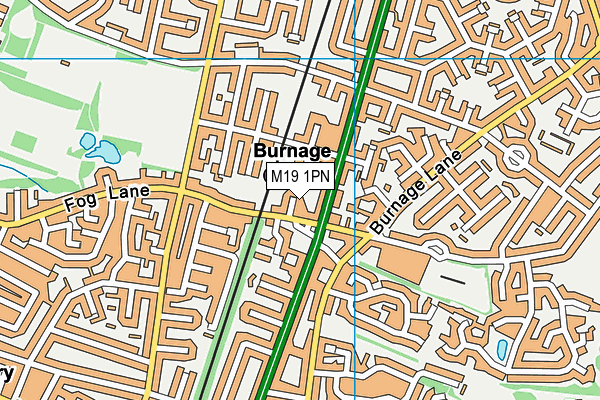 M19 1PN map - OS VectorMap District (Ordnance Survey) M19 1PN map - OS VectorMap District (Ordnance Survey)