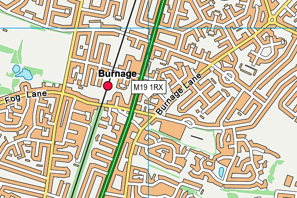 M19 1RX map - OS VectorMap District (Ordnance Survey) M19 1RX map - OS VectorMap District (Ordnance Survey)