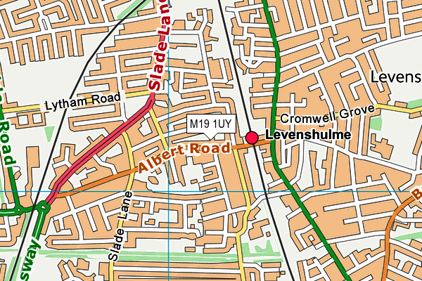 M19 1UY map - OS VectorMap District (Ordnance Survey) M19 1UY map - OS VectorMap District (Ordnance Survey)