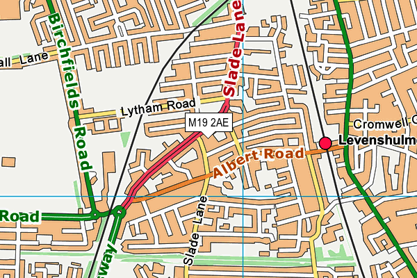 M19 2AE map - OS VectorMap District (Ordnance Survey) M19 2AE map - OS VectorMap District (Ordnance Survey)
