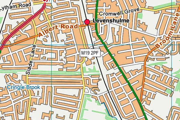 M19 2PF map - OS VectorMap District (Ordnance Survey) M19 2PF map - OS VectorMap District (Ordnance Survey)