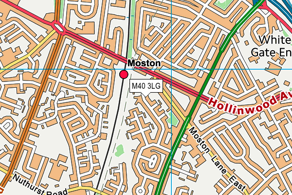 M40 3LG map - OS VectorMap District (Ordnance Survey) M40 3LG map - OS VectorMap District (Ordnance Survey)