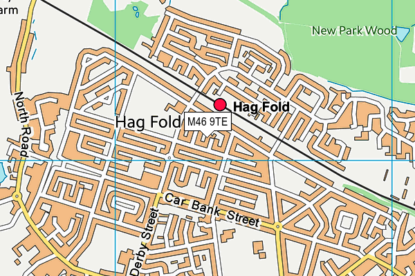 M46 9TE map - OS VectorMap District (Ordnance Survey) M46 9TE map - OS VectorMap District (Ordnance Survey)