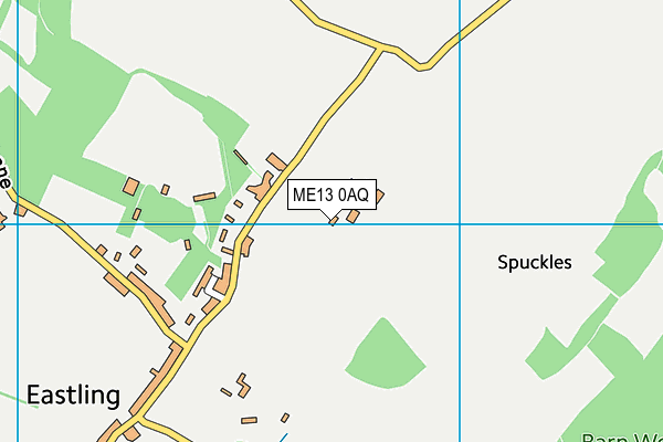 ME13 0AQ map - OS VectorMap District (Ordnance Survey) ME13 0AQ map - OS VectorMap District (Ordnance Survey)