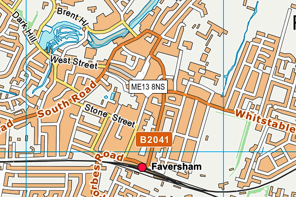 ME13 8NS map - OS VectorMap District (Ordnance Survey) ME13 8NS map - OS VectorMap District (Ordnance Survey)