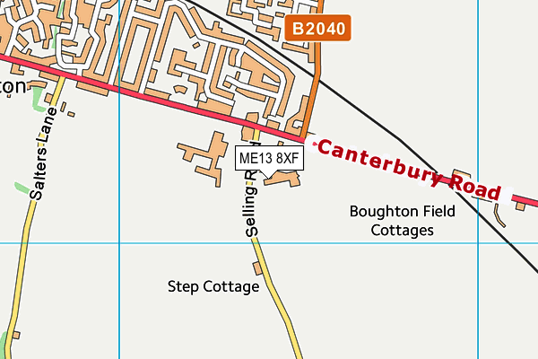 ME13 8XF map - OS VectorMap District (Ordnance Survey) ME13 8XF map - OS VectorMap District (Ordnance Survey)