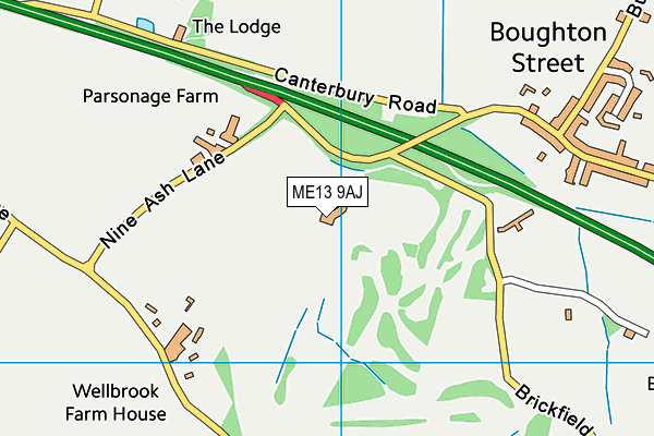 ME13 9AJ map - OS VectorMap District (Ordnance Survey) ME13 9AJ map - OS VectorMap District (Ordnance Survey)