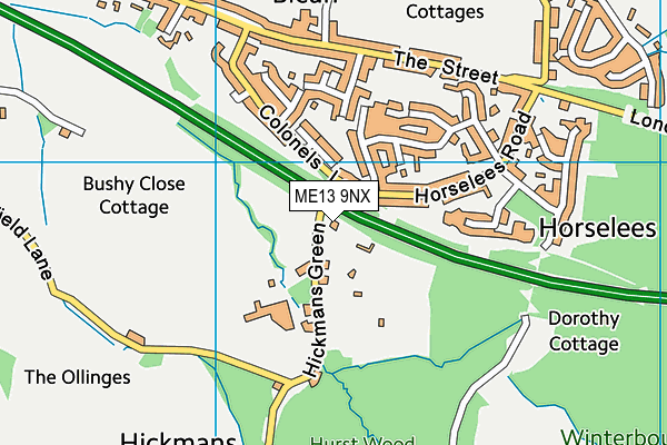 ME13 9NX map - OS VectorMap District (Ordnance Survey) ME13 9NX map - OS VectorMap District (Ordnance Survey)