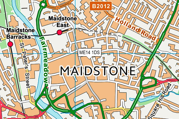 ME14 1DS map - OS VectorMap District (Ordnance Survey) ME14 1DS map - OS VectorMap District (Ordnance Survey)