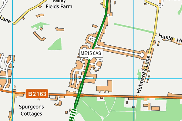 ME15 0AS map - OS VectorMap District (Ordnance Survey) ME15 0AS map - OS VectorMap District (Ordnance Survey)