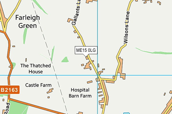 ME15 0LG map - OS VectorMap District (Ordnance Survey) ME15 0LG map - OS VectorMap District (Ordnance Survey)