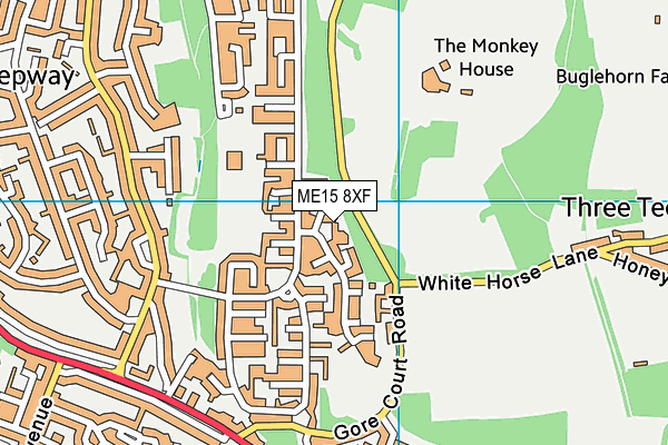 ME15 8XF map - OS VectorMap District (Ordnance Survey)