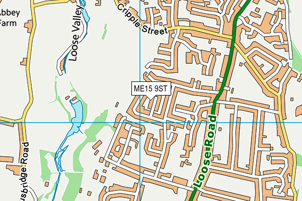 ME15 9ST map - OS VectorMap District (Ordnance Survey)