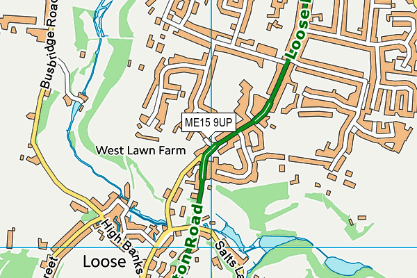 ME15 9UP map - OS VectorMap District (Ordnance Survey) ME15 9UP map - OS VectorMap District (Ordnance Survey)