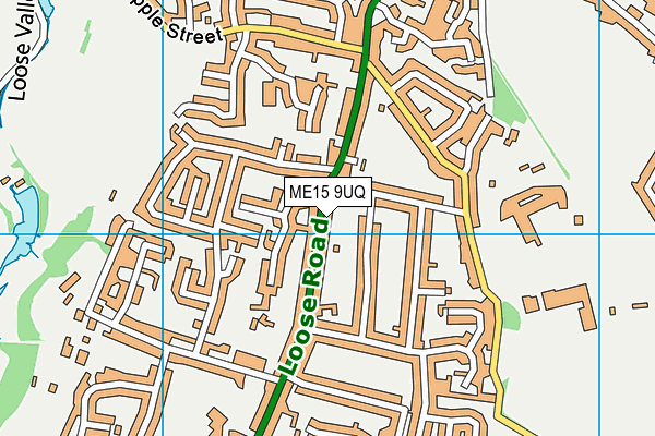 ME15 9UQ map - OS VectorMap District (Ordnance Survey) ME15 9UQ map - OS VectorMap District (Ordnance Survey)