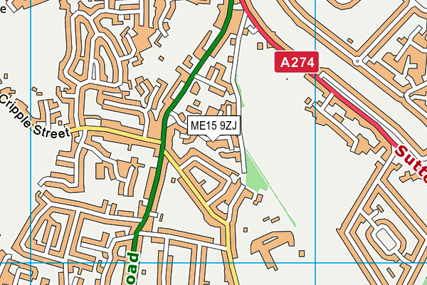ME15 9ZJ map - OS VectorMap District (Ordnance Survey)