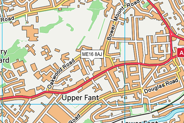 ME16 8AJ map - OS VectorMap District (Ordnance Survey) ME16 8AJ map - OS VectorMap District (Ordnance Survey)