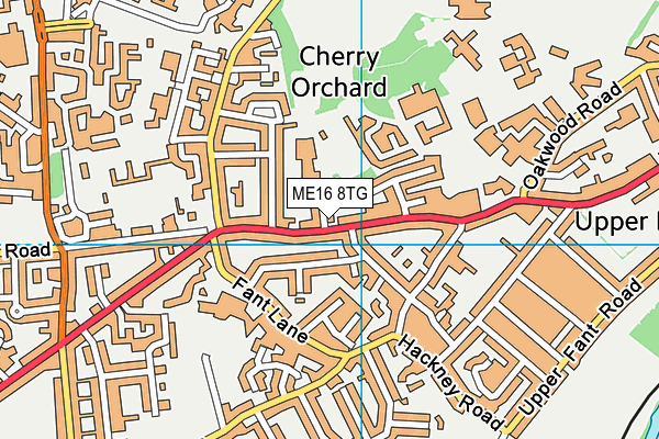 ME16 8TG map - OS VectorMap District (Ordnance Survey) ME16 8TG map - OS VectorMap District (Ordnance Survey)