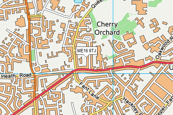 ME16 8TJ map - OS VectorMap District (Ordnance Survey) ME16 8TJ map - OS VectorMap District (Ordnance Survey)