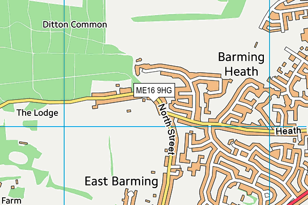 ME16 9HG map - OS VectorMap District (Ordnance Survey) ME16 9HG map - OS VectorMap District (Ordnance Survey)